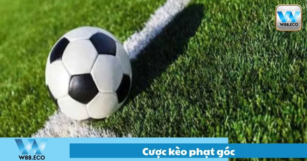 Cách cược kèo phạt góc