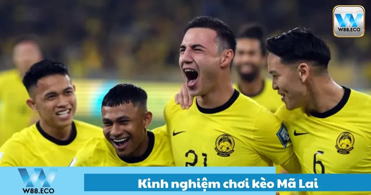 Lưu ý khi lựa chọn cửa âm