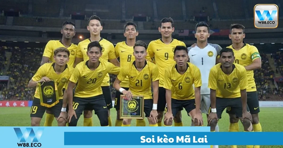 Cách đọc bảng soi kèo mã lai